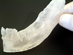 顎骨模型